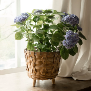 Elevate Your Plants with Natural Texture and Timeless Craftsmanship