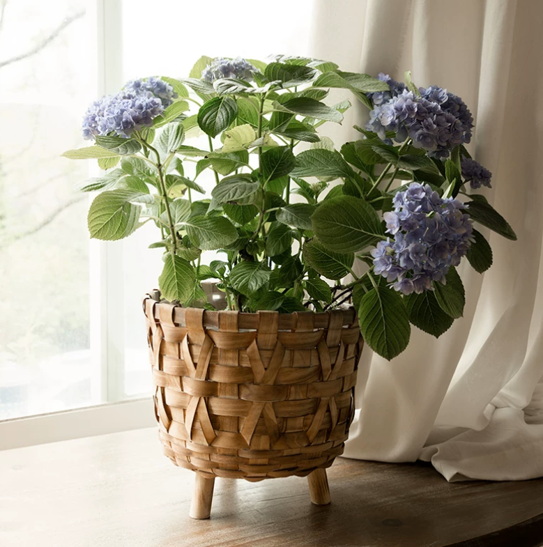Elevate Your Plants with Natural Texture and Timeless Craftsmanship