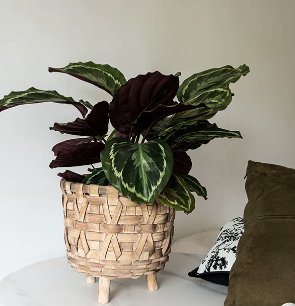 Handwoven Wooden Planter Basket – Decorative Plant Holder for Indoor Greenery