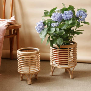 A Natural Accent Piece for Bringing Greenery and Warmth into Your Home