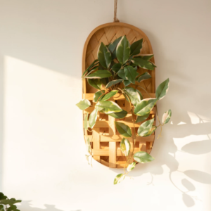 Transform Empty Walls into Natural Living Art