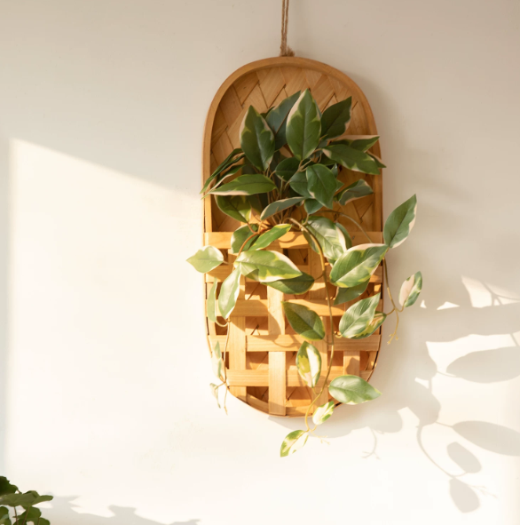 Transform Empty Walls into Natural Living Art