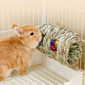 natural hanging foraging hay barrel for rabbits & small pets – edible enrichment chew toy