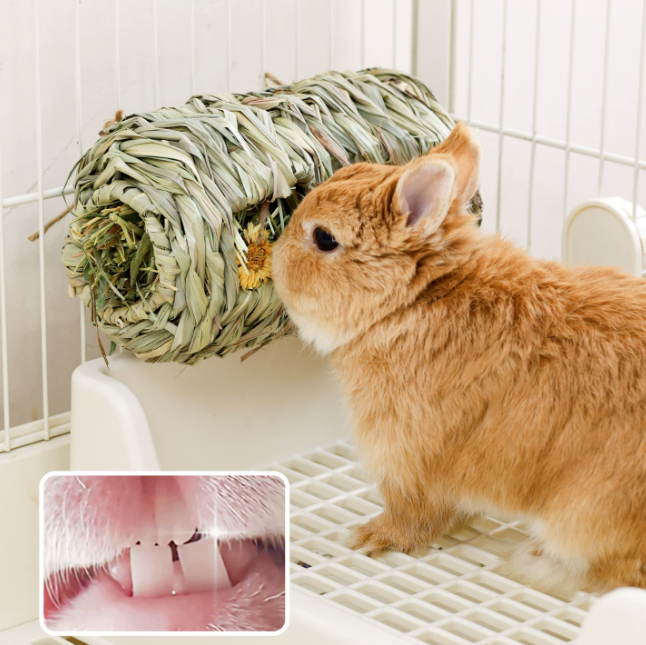natural hanging foraging hay barrel for rabbits & small pets – edible enrichment chew toy