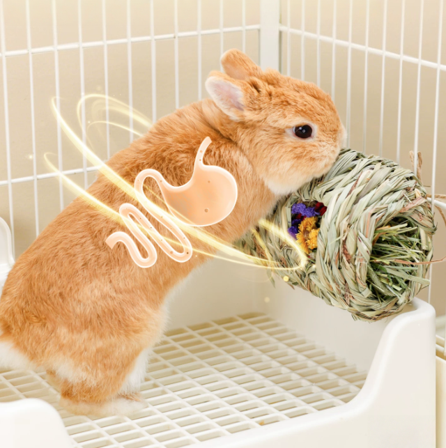 natural hanging foraging hay barrel for rabbits & small pets – edible enrichment chew toy