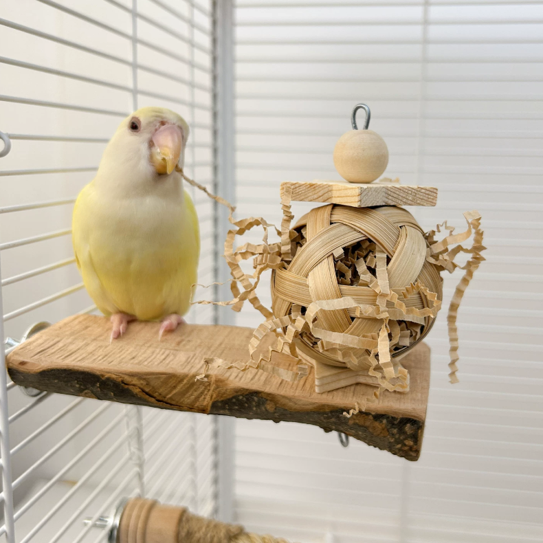 Natural Apple Wood Bird Perch with Woven Grass Ball – Parrot Chew & Enrichment Toy