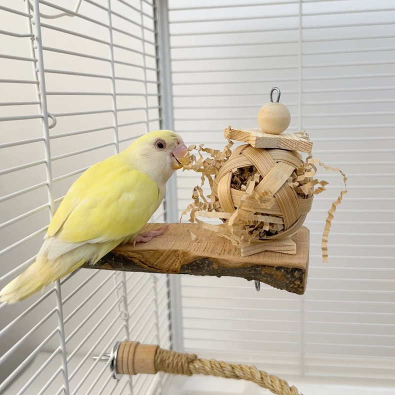 Natural Apple Wood Bird Perch with Woven Grass Ball – Parrot Chew & Enrichment Toy