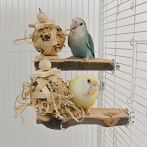 Natural Apple Wood Bird Perch with Woven Grass Ball – Parrot Chew & Enrichment Toy