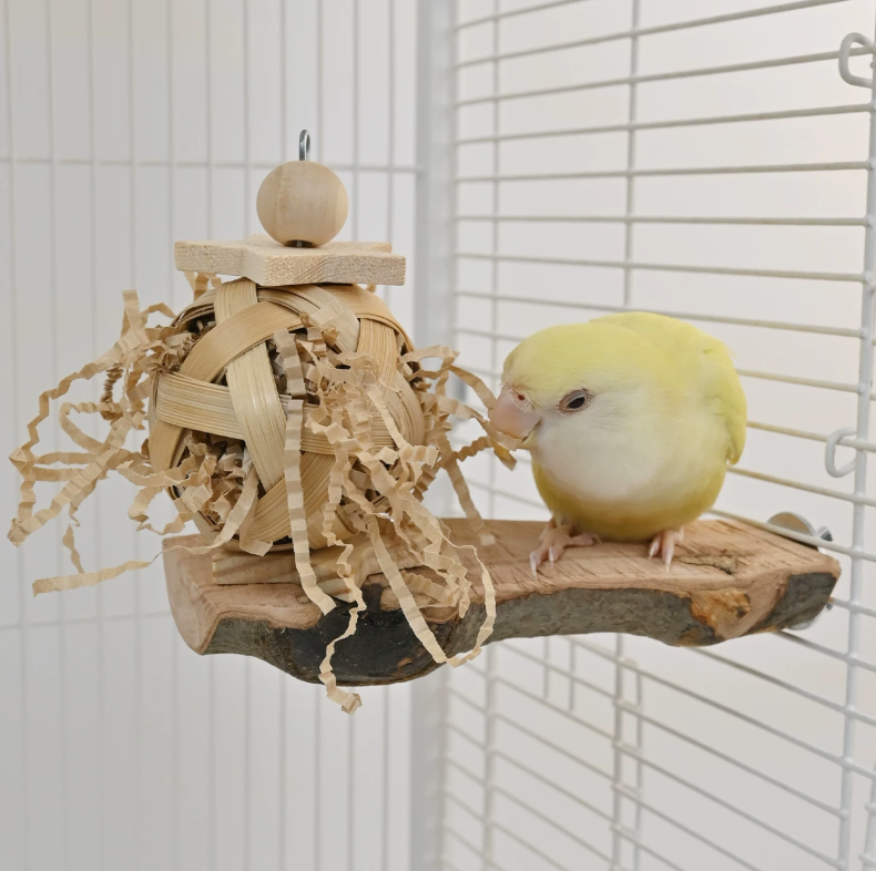 Natural Apple Wood Bird Perch with Woven Grass Ball – Parrot Chew & Enrichment Toy