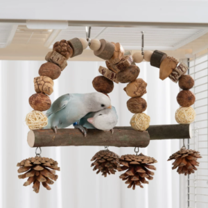natural bird swing & perch – handmade parrot enrichment toy with pinecones and natural fruits