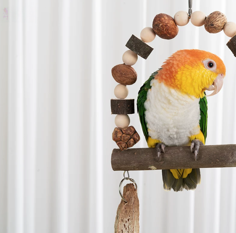 natural bird swing & perch – handmade parrot enrichment toy with pinecones and natural fruits