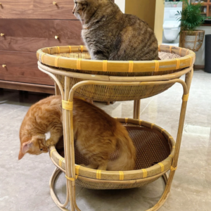 Handwoven Bamboo Double-Layer Cat Bed – Natural Wicker Cat House for Two Cats