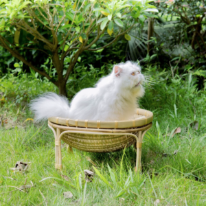 Handwoven Bamboo Wicker Cat Bed – Natural Round Cat Bed for Cats & Small Dogs