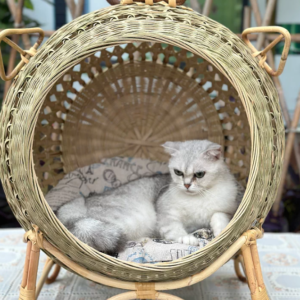 Handwoven Bamboo Cat Bed with Arched Open Design & Four-Leg Stand