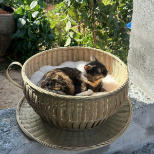 Handwoven Bamboo Cup-Shaped Cat Bed – Natural Woven Cat House